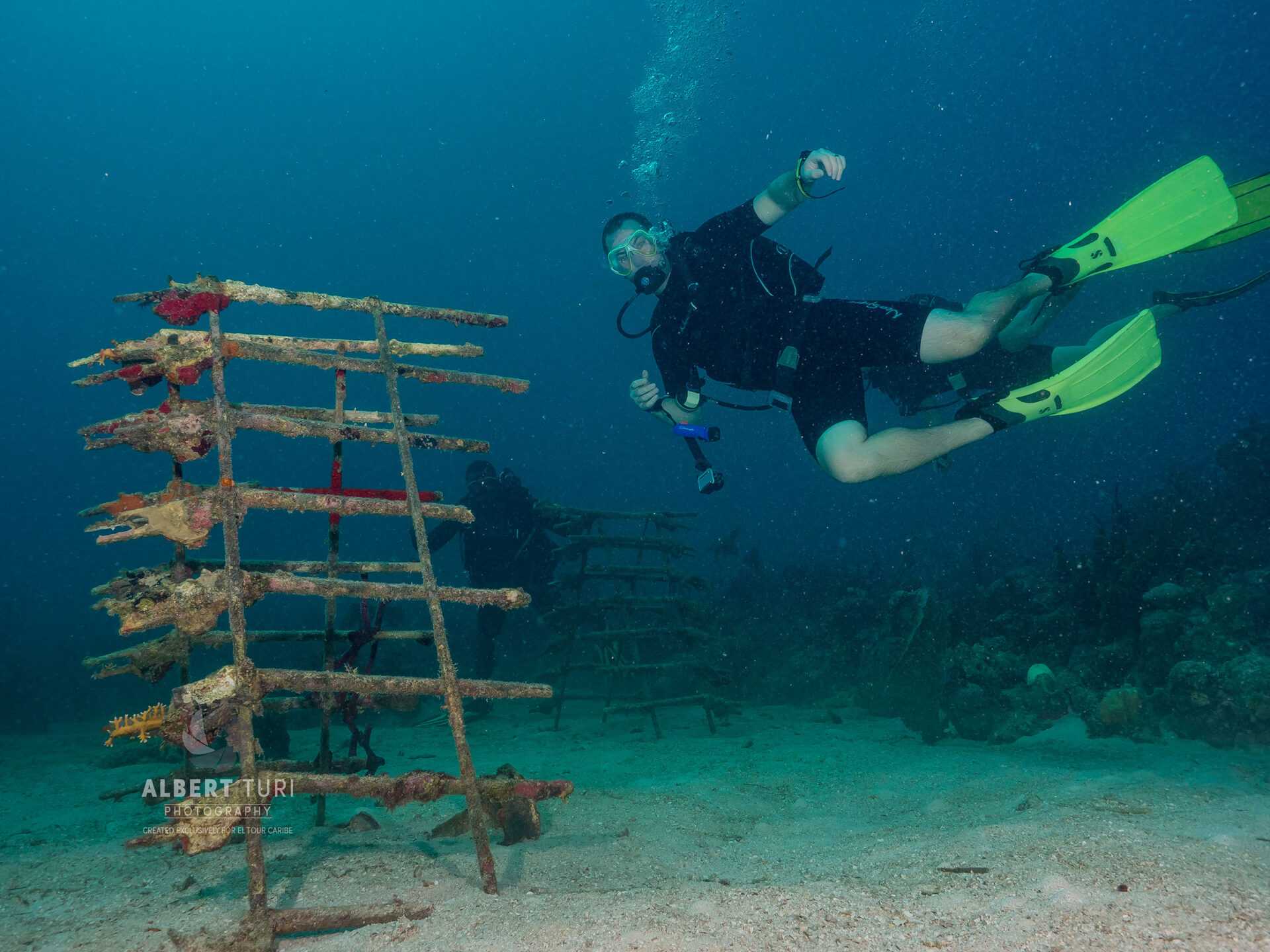 guaraguao dominican republic