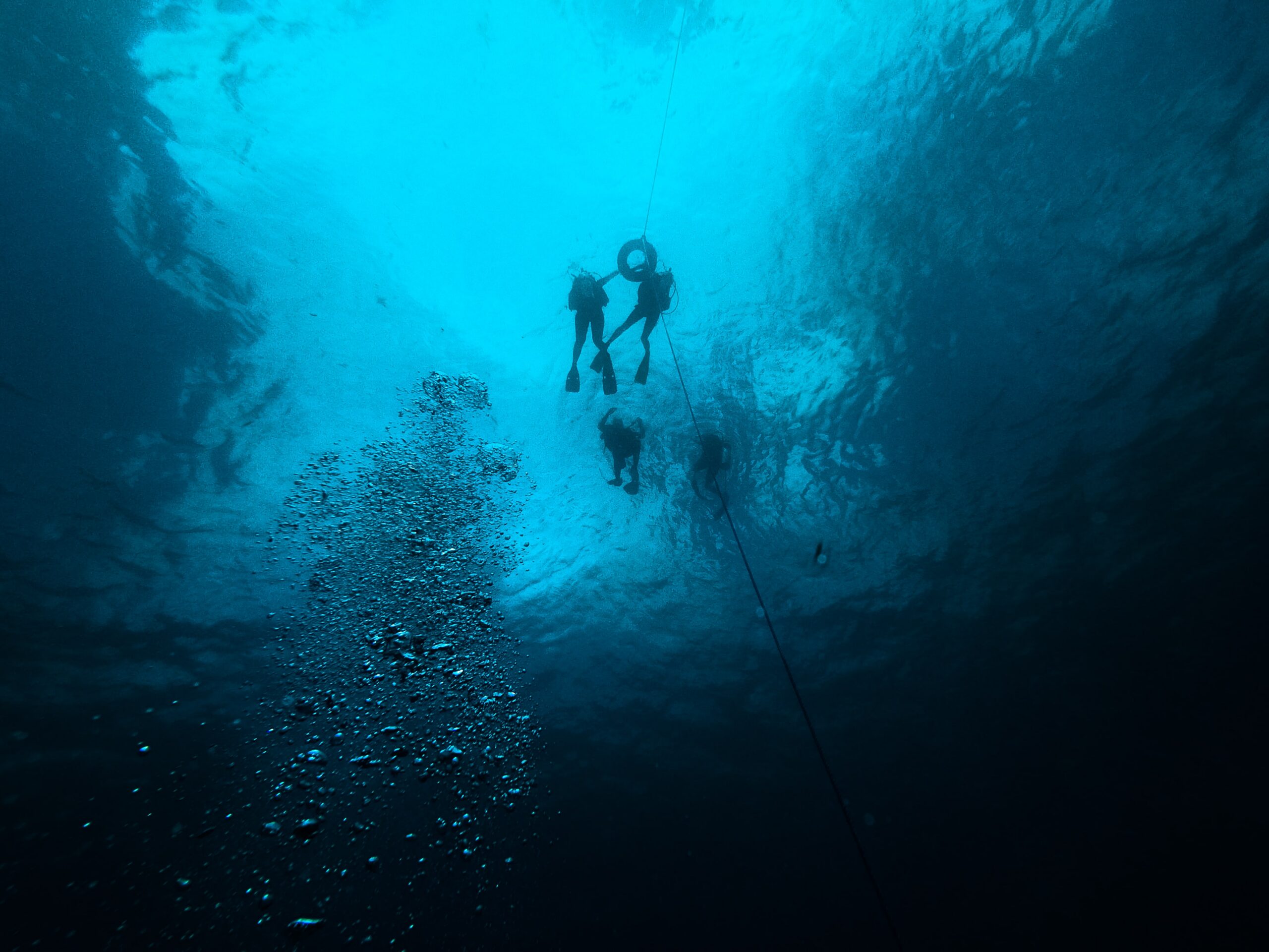 padi open water diver
