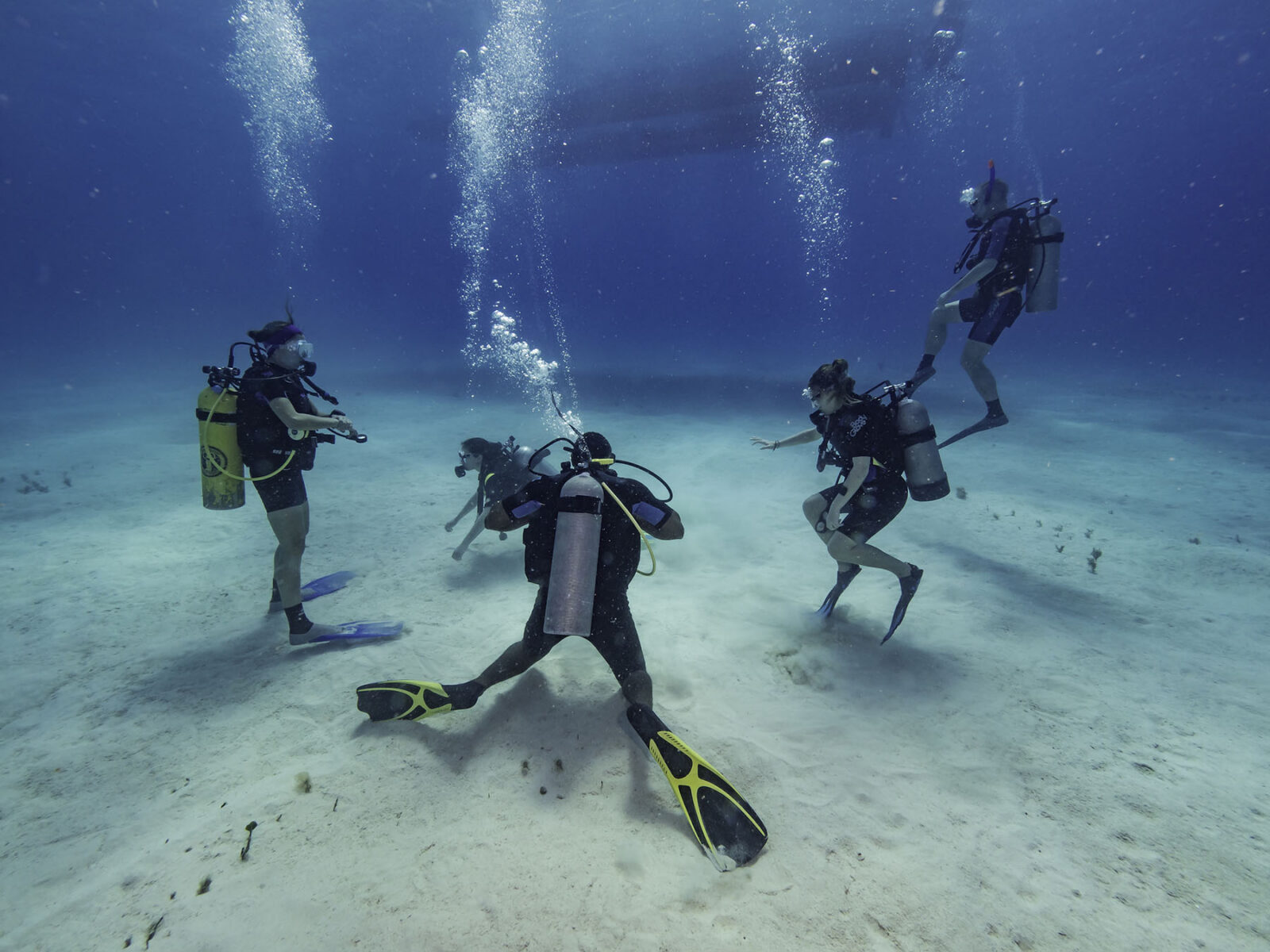 VIP dive and snorkel adventures in Punta Cana & Bayahibe. Enjoy a personalized underwater experience with expert instructors in crystal-clear waters