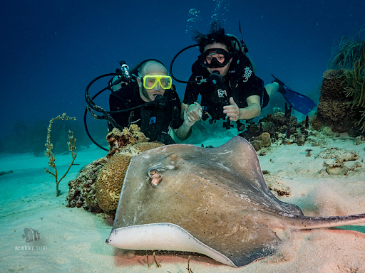 dive with stingrays at penon reef