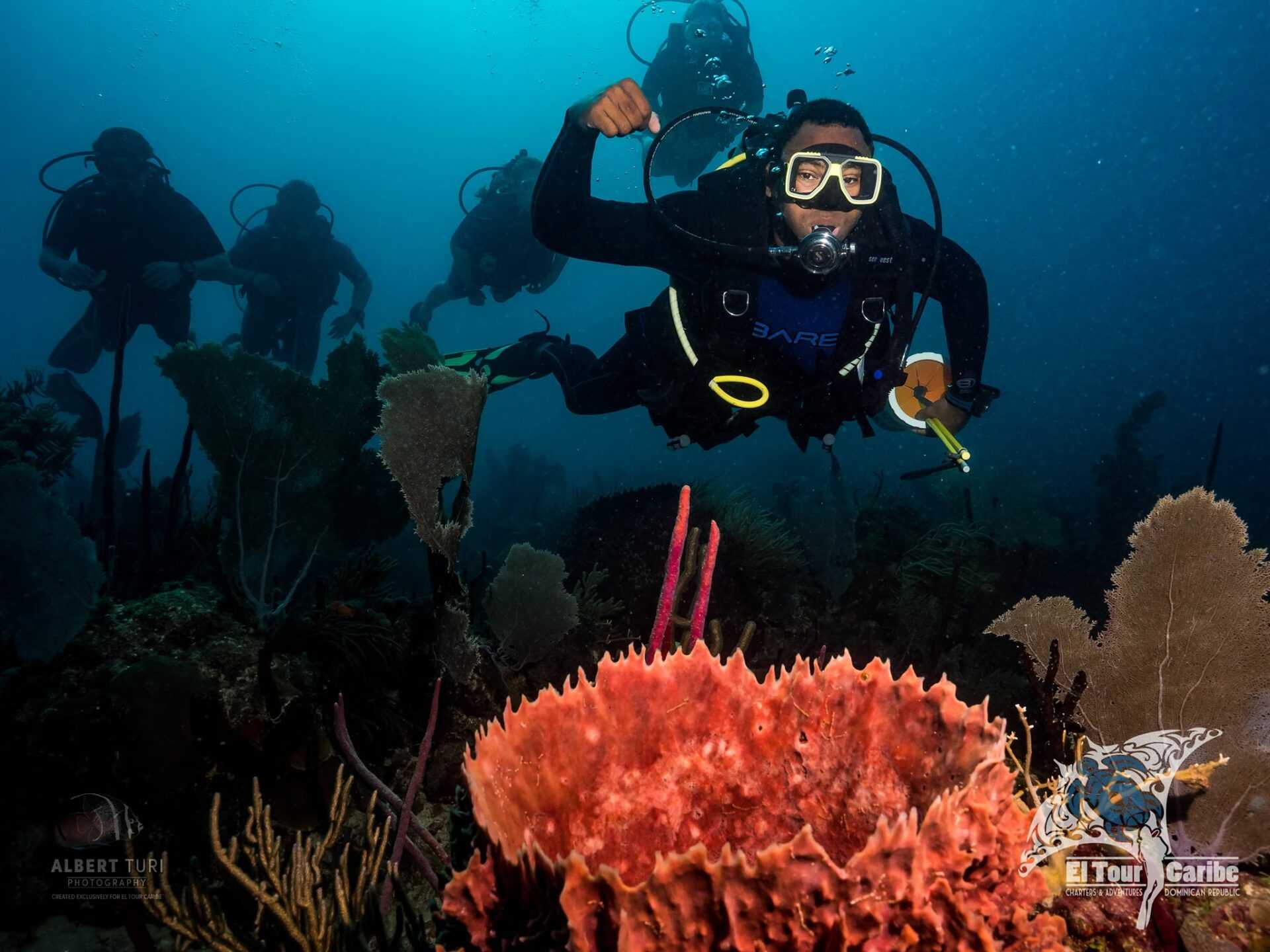 lead photo three tank dive charter