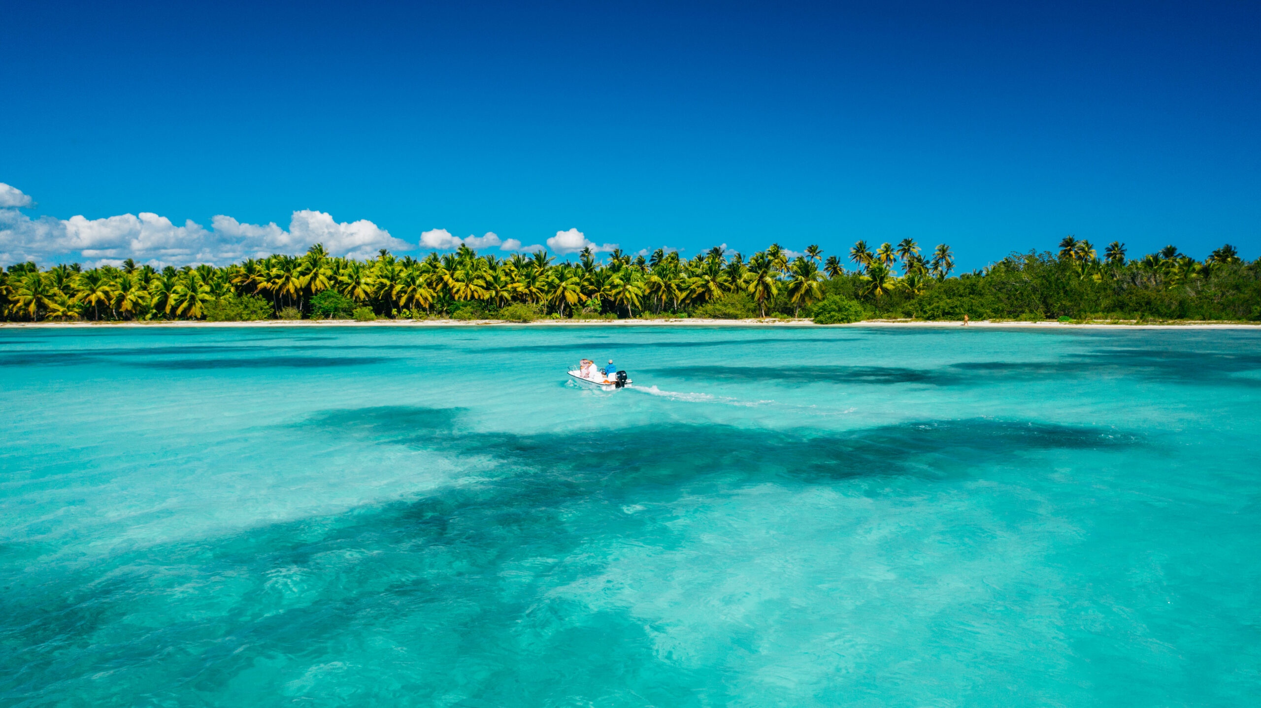private snorkeling saona island destination scaled