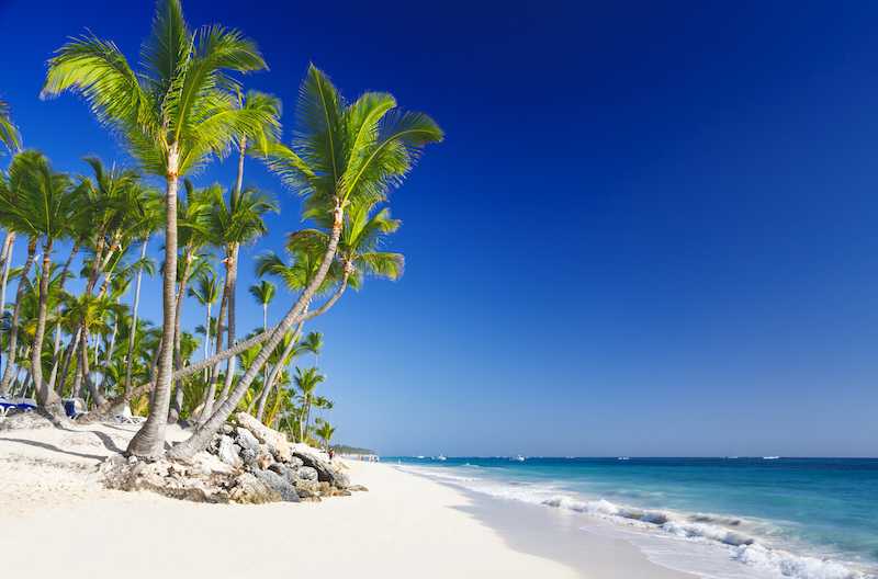 saona island private dive charter