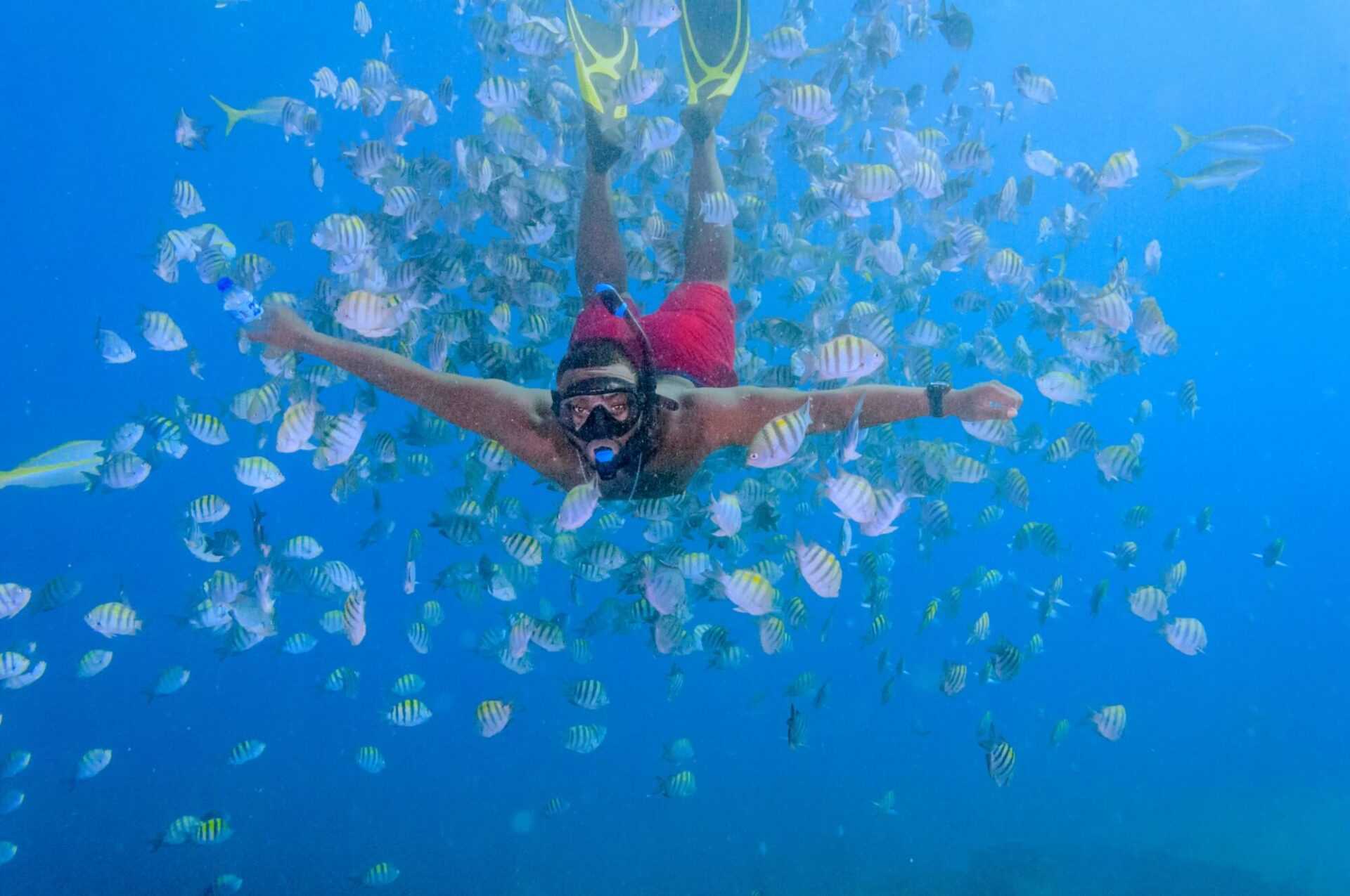 snorkeling at catalina island