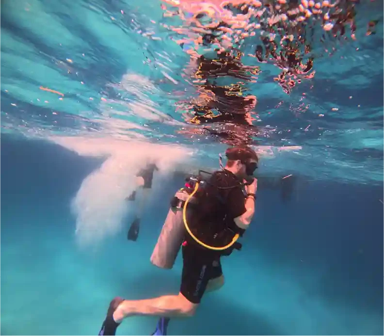 private-snorkeling-and-diving-tour-la-romana Private snorkeling and diving tour La Romana