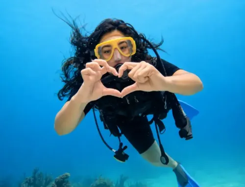 More Bubbles. Less Crowds: Why Divers Choose Private Dive Charters